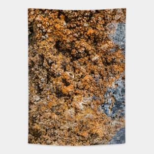 Rustic Seaside Erosion Texture Tapestry