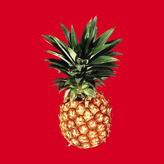 pinapple by Riviera