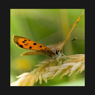 A FLUTTER ON GRASS T-Shirt