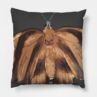 Orange Butterfly Pillow