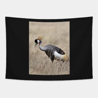 Grey Crowned Crane, Serengeti, Tanzania Tapestry