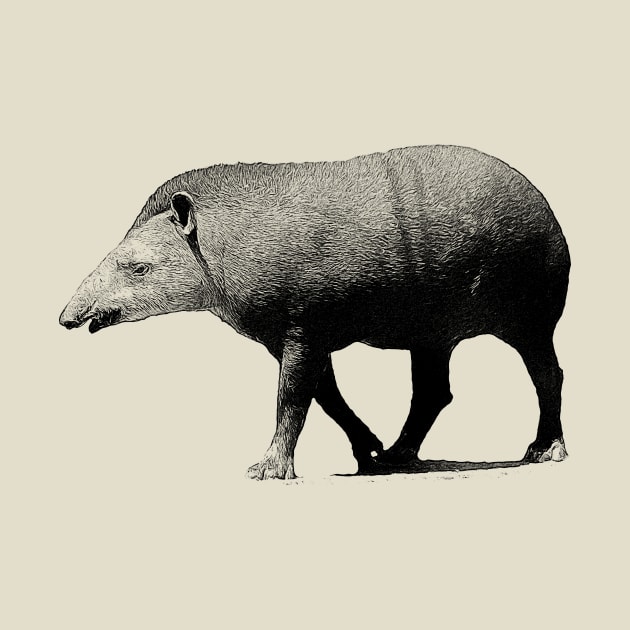 Tapir by Guardi