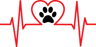 Veterinary Medicine Love Magnet
