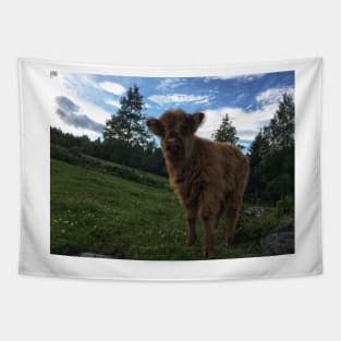 Scottish Highland Cattle Calf 1799 Tapestry