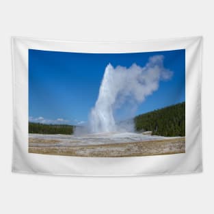 Old Faithful Geyser Yellowstone Wyoming by Debra Martz Tapestry