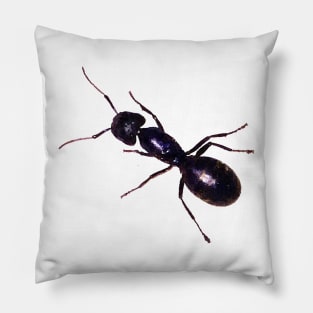 Black Ant Watercolor Style Pillow