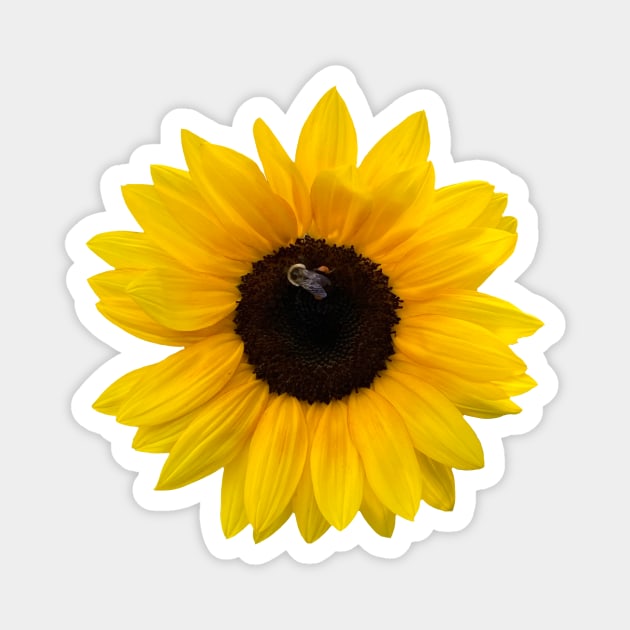 Happy Sunflower with Bee on Yellow Magnet by DandelionDays