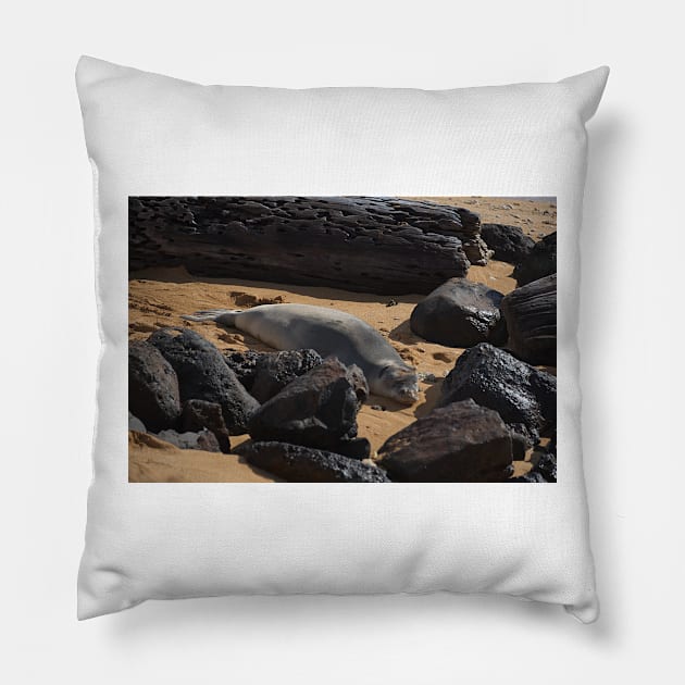 G17_0867 Pillow by wgcosby