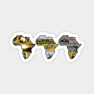 African Wildlife Continent Trio Magnet