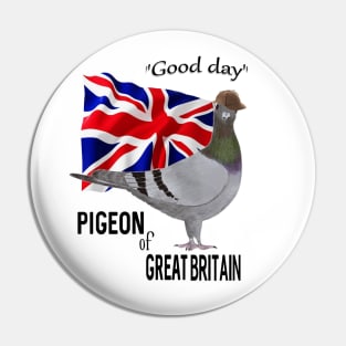 Pigeon of Great Britain Greeting Pin