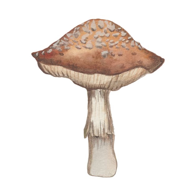 Watercolor Mushroom Stickers by Jeraluna