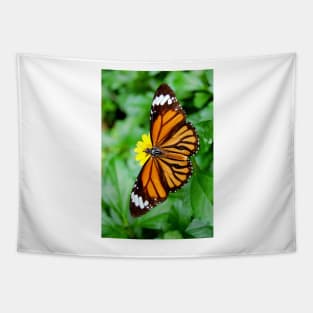 Orange Butterfly Tapestry