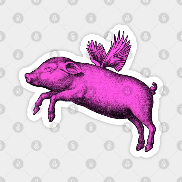 Flying Pig Funny Saying With Pink Modern Pop Art | Vintage  Fat Animal Wings Magnet by ZAZIZU