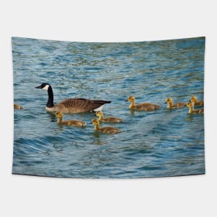 Canada Goose Family Swimming Together Tapestry
