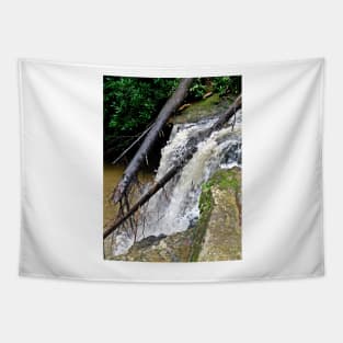 Marsh Fork Falls Tapestry