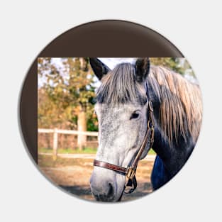 Equine Greeting Pin