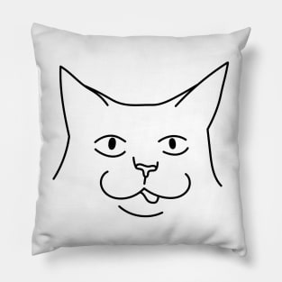 Silly Funny Cat Pillow