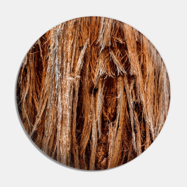 Stringy Bark Tree Texture Pin by textural