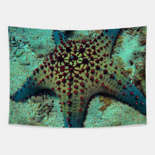 Chocolate Chip Sea Star Tapestry