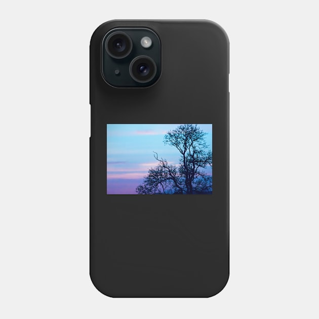 Tree on a pastel sky Phone Case by InspiraImage