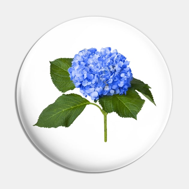 Blue Hydrangea Flower Pin by dahyala