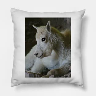 Glacier National Park Rocky Mountain Sheep Pillow