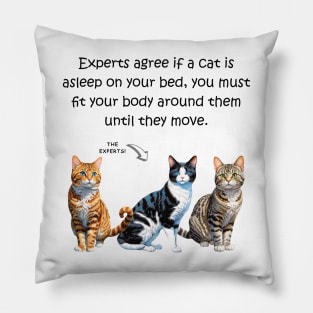 Experts agree if a cat is asleep on your bed, you must fit your body around them until they move - funny watercolour cat design Pillow