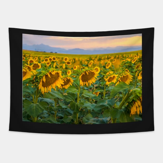 Sunflowers Tapestry by algill