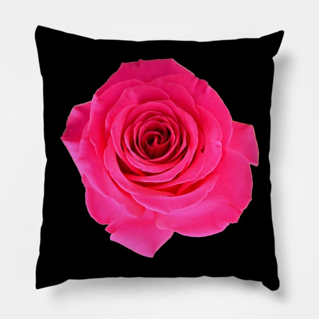 Red Rose Pillow by RaphaelWolf