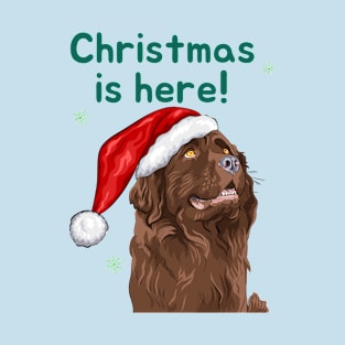 Dog Merry Xmas Funny Gift T-Shirt