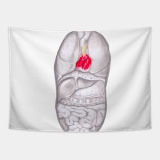 Anatomy Tapestry