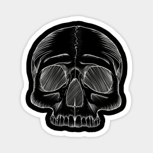 Skull sketch Magnet