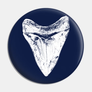 Megalodon Shark Tooth Pin