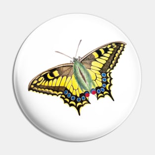 Vintage Swallowtail Butterfly Illustration Pin