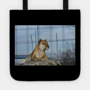 Liger Tote