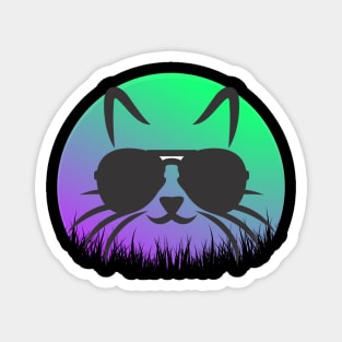 Cool Cat In Shades Magnet