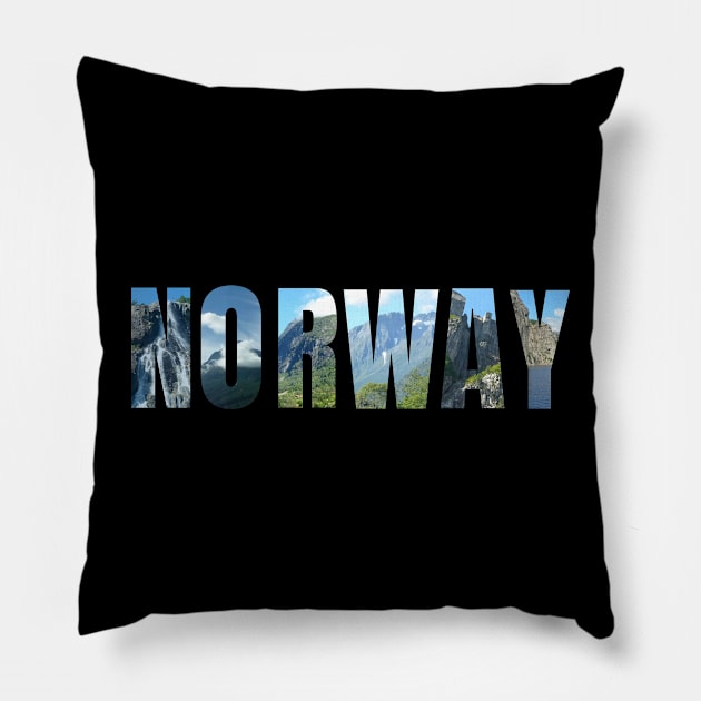 Norway t shirt Pillow by Animalsrstars