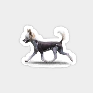 The Chinese Crested Dog Magnet