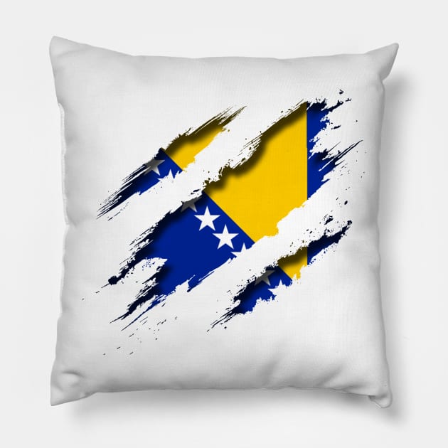 Bosnia and Herzegovina Shredding Pillow by blackcheetah