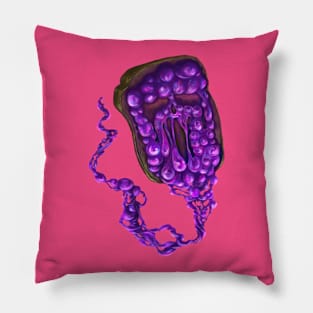 Ghost Toast and Jelly Pillow