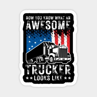 Now You Know What An Awesome Trucker Looks Like Magnet