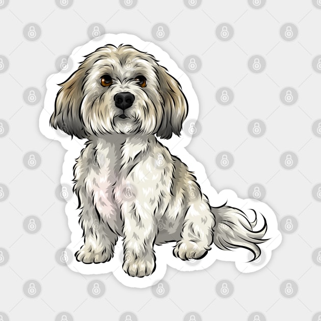 Cute Shichon Dog | Zuchon | Bichon Frise Shih Tzu cross Magnet by Shirin Illustration