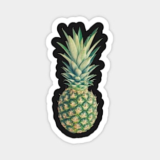 Pineapple Magnet