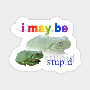 I may be stupid frog word art Magnet