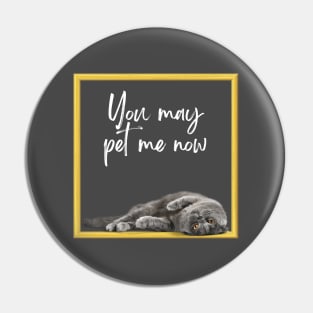 You may pet me now Pin