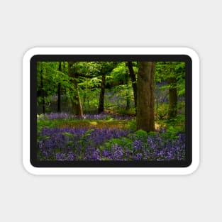 English Bluebell Woodland Magnet