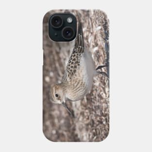 Baird (Sandpipers) on the Beach Phone Case