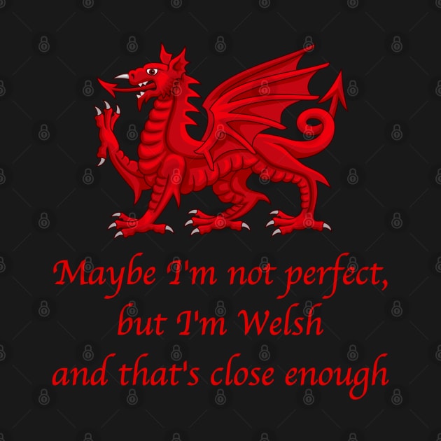 Maybe I'm not Perfect, but I'm Welsh..... by SteveHClark