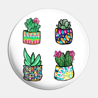 Colorful Cactus and Succulent Illustration Pin