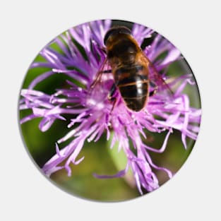 Bee On Purple Flower Pin